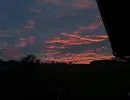 img 20240202