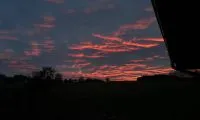 img 20240202