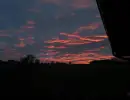 img 20240202