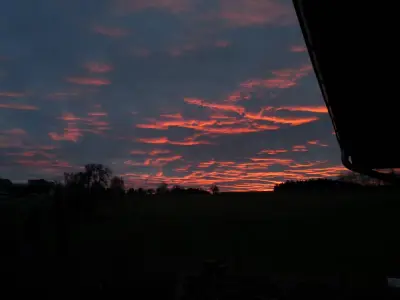 img 20240202
